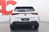 Lexus UX 250h F SPORT Design - Uusi auto heti toimitukseen Thumbnail 4